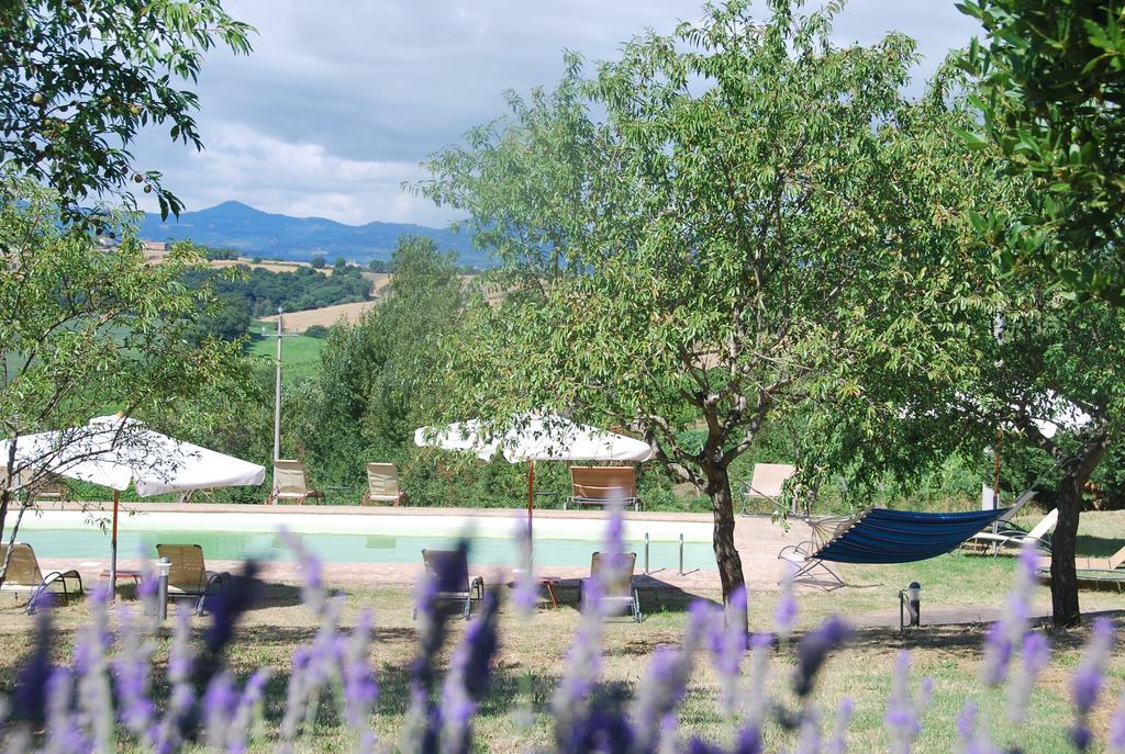 Agriturismo Le Torri Di Porsenna Petrignano Del Lago Eksteriør billede